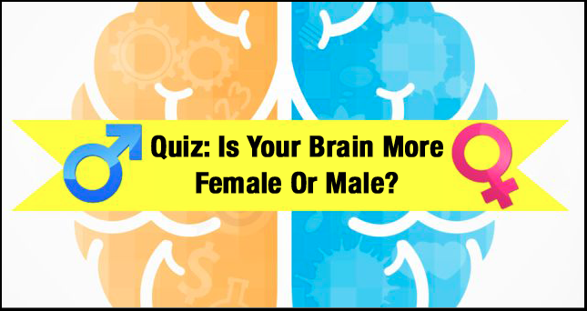 What Sex Is Your Brain Quiz 78