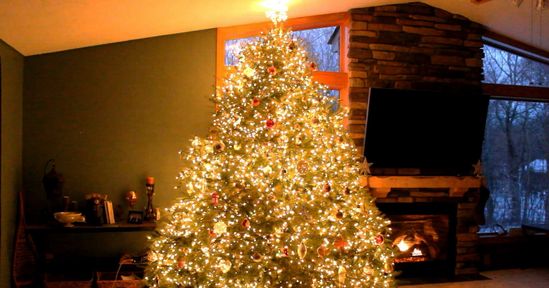 at first it seemed like a normal christmas tree but when at first it seemed like a normal christmas tree but when