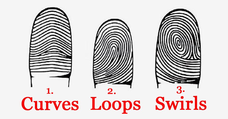 fingerprint patterns