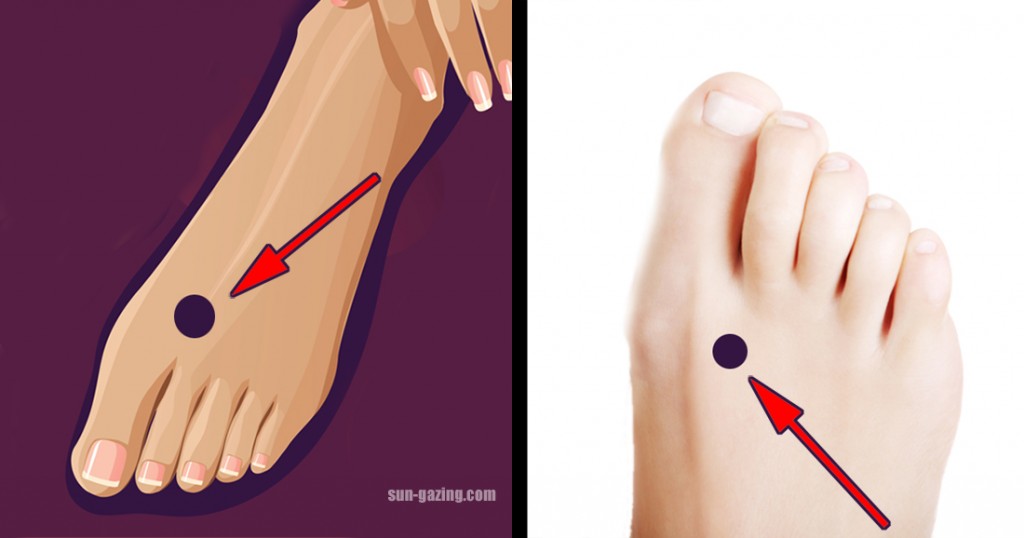 How To Get Cat Poop Smell Off Hands How To Get Cat Poop Smell Off Hands