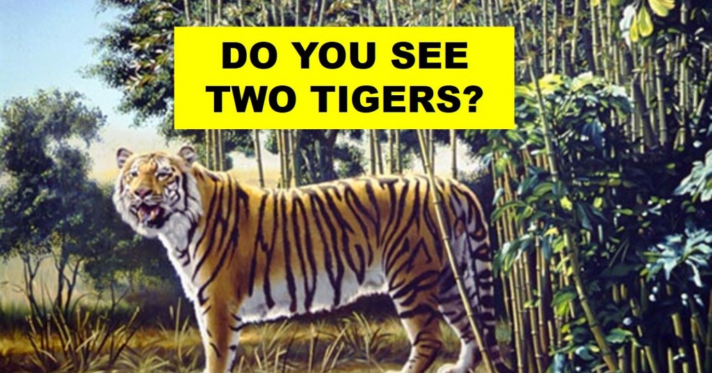 Beautiful Transformations In Nature Beautiful Transformations In Nature