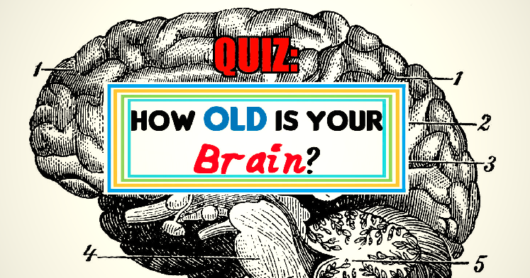 Bathroom Stall Quiz the reason why you shouldn't cover the toilet seat with toilet Bathroom Stall Quiz the reason why you shouldn't cover the toilet seat with toilet