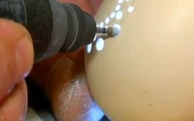 He Starts Drilling Into An Egg. When He’s Finished It’s STUNNING!