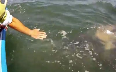 Man Puts His Hands Over The Side Of The Boat Everyone Is Stunned By What Emerges From The Water!