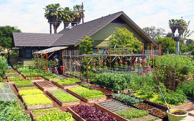 This Tiny Farm Pumps Out 6,000 lbs Of Food Per Year. But Where It’s Located Blew My Mind!