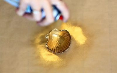 Video: Woman Starts Spray Painting A Seashell. But When She’s Done Stunning!