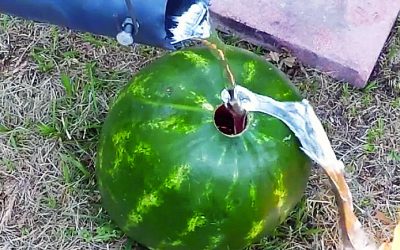 This Guy Pours Molten Aluminum Into His Watermelon. The Result Is An Awesome Surprise!