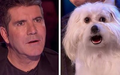 This Guy Claims His Dog Can Talk. When She Begins To Sing The Entire Audience Loses It