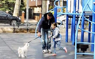 This Man Approaches A Kid On The Playground With a Puppy. What Happens Next Is Scary.