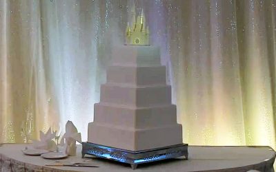 It Looks Like A Normal Wedding Cake But When The Music Starts My Jaw Dropped!