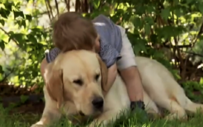 He Climbs On His Dog And Gives Him A Hug What Happens Next Tore At My Heart Strings