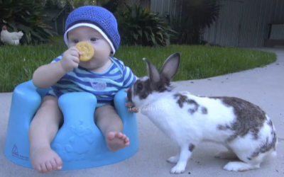 Baby Attempts To Eat His First Piece Of Solid Food. But The Bunny Has Other Plans And Does THIS