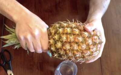 This Guy Takes The Leaves Off The Top Of The Pineapple What He Does Next Is Unexpected!