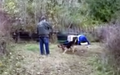 This Vicious Dog Spent His Whole Life Chained.  But Watch What Happens When They Remove His Chain.