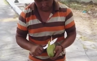 This Is The Only Way You Will Ever Cut A Mango Again. How Did I Not Know About This Earlier?