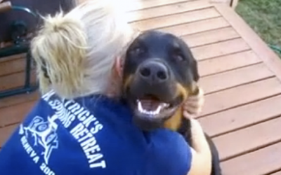 How This Rottweiler Reacts When He Is Hugged Is Baffling. I Have Never Heard Anything Like THIS