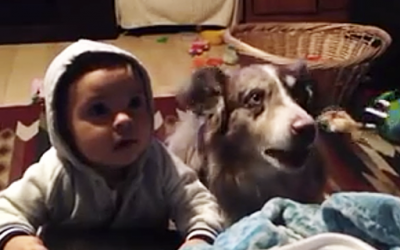 Mom Asks Her Baby To Say ‘Mama’ In Exchange For Some Food But The Dog Steps In First and Does THIS