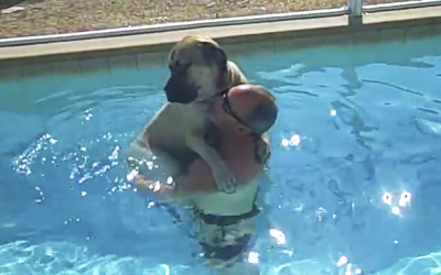 VIDEO: His Giant Dog Was Terrified Of Water. But Wait Till You See When His Human Does THIS