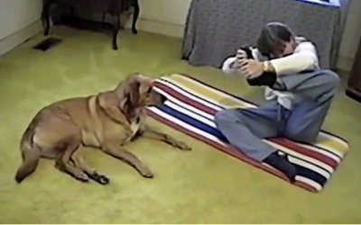 She Is Trying Out A New Yoga Pose. Now Watch Her Dog’s Unexpected Reaction!