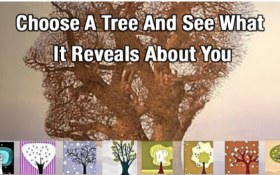 Choose A Tree And See What It Reveals About You