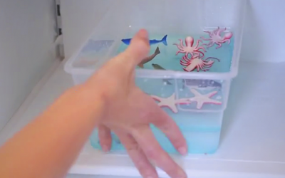 I Was Confused When Mom Put A Container Of Toys Into The Freezer. But The Reason Is Surprisingly Brilliant!