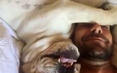 Nobody Believed Him When Described His Dog’s Morning Ritual So He Got A Camera and Caught THIS