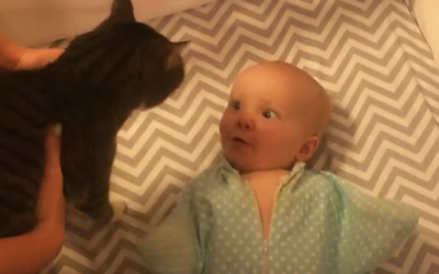 Mama Brings Her Baby Girl The Family Cat For The First Time. Her Reaction Is Priceless.