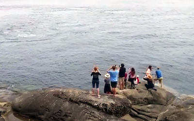 Vacationers Were Gazing Into The Water When They Got The Unexpected Surprise Of a Lifetime!
