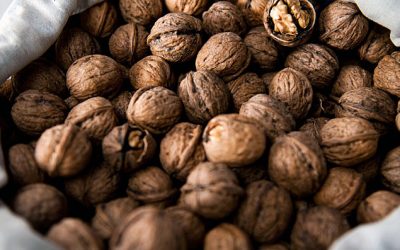 Apparently If You Eat 5 Walnuts and Wait 4 Hours THIS Is What Happens To Your Body!