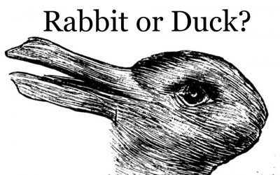 What Do You See First – Rabbit Or Duck? The Answer Will Assess How Creative You Are.