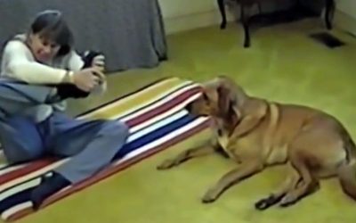 She Struggles While Trying Out A New Yoga Pose. Now Watch The Pup Show Her How It’s Done!