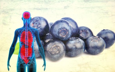 If You Eat 12 Blueberries Everyday For a Month THIS Is What Happens To Your Body