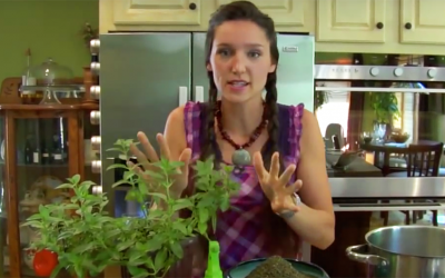 This House Plant Will Prevent Spiders Mice and Other Creepy Critters From Coming In Your Home.