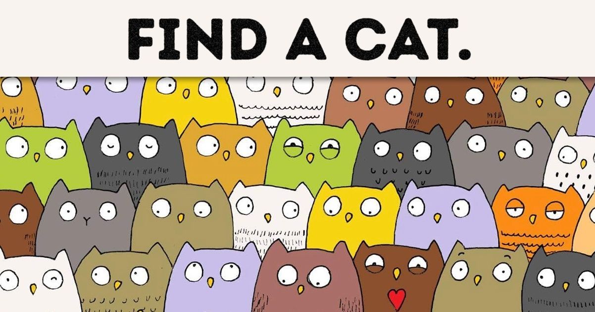 Find Dog In Cat Picture Puzzle Find Dog In Cat Picture Puzzle