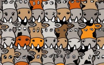 Can You Find The Hidden Dog Amongst This Herd Of Cows?