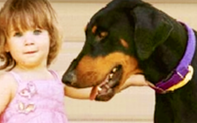 Dog Suddenly Snatched This Little Girl And Throws Her To The Other Side Of The Room. The Reason Is Scary
