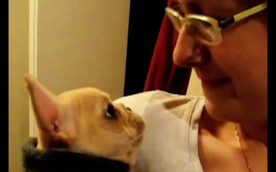 She Says I Love You To Her Bulldog Puppy. Now Listen To His Response.