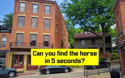 97% Of People Can Find The Horse In This Picture In Less Than 5 Seconds. Can You?