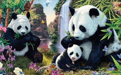 Can You Find The 12 Hidden Pandas In This Picture?