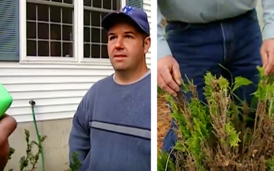 Whenever He Gardens He Always Brings Irish Spring Soap. The Reason Is Brilliant.