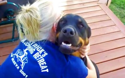 Whenever She Hugs Her Giant Rottweiler He Makes The Strangest Sounds