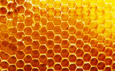 9 Easy Ways To Figure Out If The Honey You Are Buying From The Supermarket Is Real or Fake.