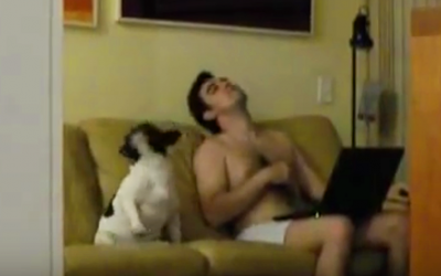 She Felt Something Strange Was Up With Her Dog and Hubby. A Hidden Camera Caught The Funniest Dance.