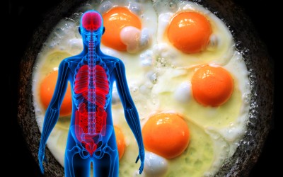 Scientists Recently Discovered The 5 Health Benefits of Eating 3 Eggs Per Day