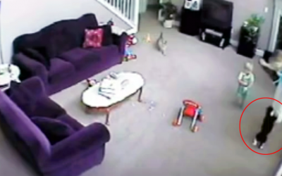This Cat Thinks Mom Is Hurting Her Baby. Hidden Security Cam Catches Cat Protecting His Human.