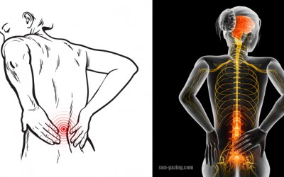 5 All Natural Ways To Get Rid Of Your Sciatica and Lower Back Pain Without Surgery Or Pain Pills