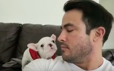 He Tells His Adorable Puppy He’s Handsome. The Puppy Proceeds To Throw a Hysterical Tantrum.