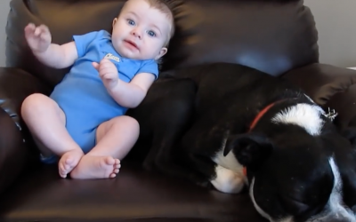 Adorable Baby Poops Her Pants. Now Watch The Dog’s Face When He Realizes.