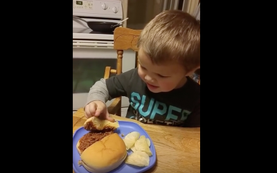Little Boy Thinks Mom Served Him a Poop Sandwich. He Proceeds To Throw The Most Hysterical Fit.