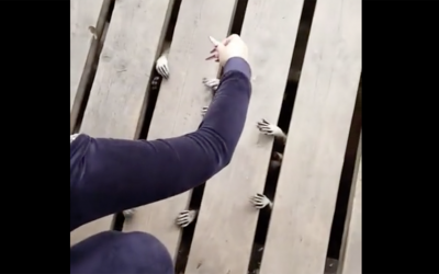 Woman Starts Hearing Strange Sounds Underneath The Deck, Moments Later It’s Terrifying.